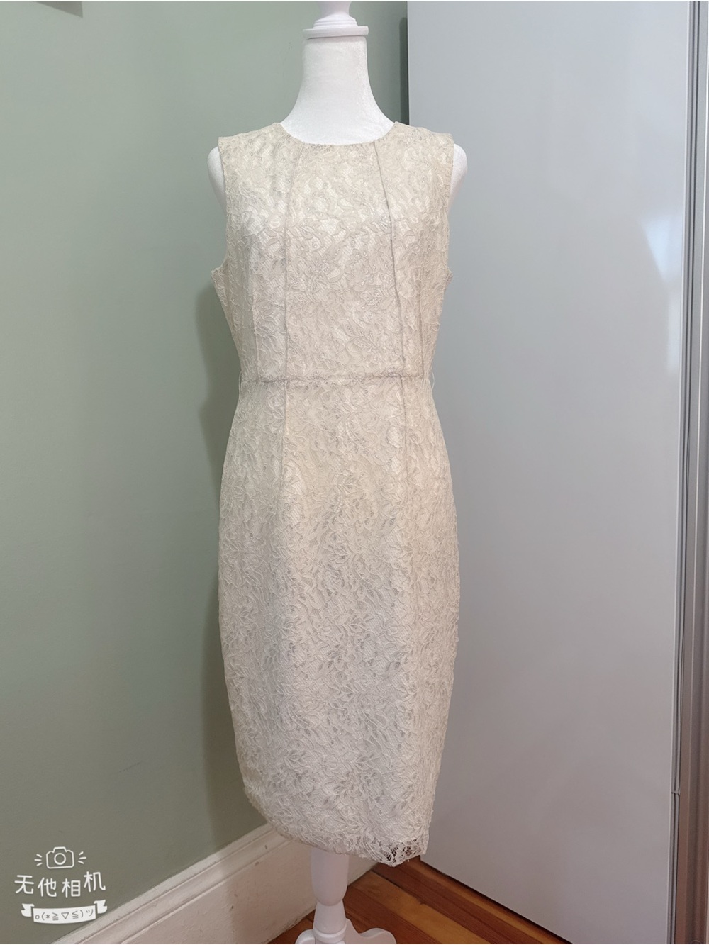 Tahari Women's Formal Lace Matilda Dress Creme / Silver